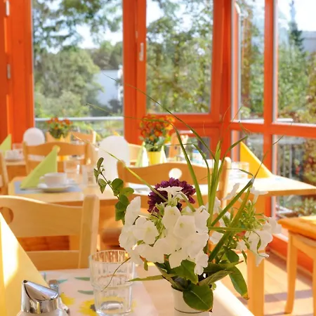 Zur Alten Stadtmauer 2*